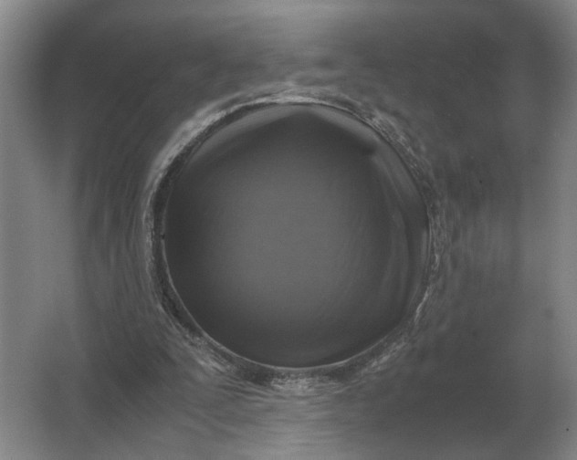 X0000062920295200601271812