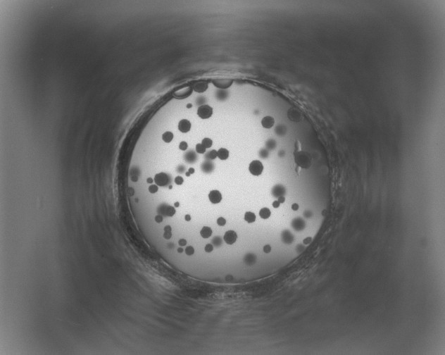 X0000062920296200601271812