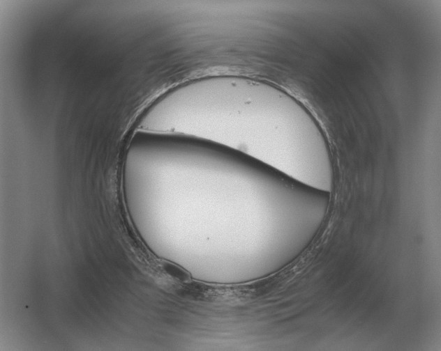 X0000062920297200601271812