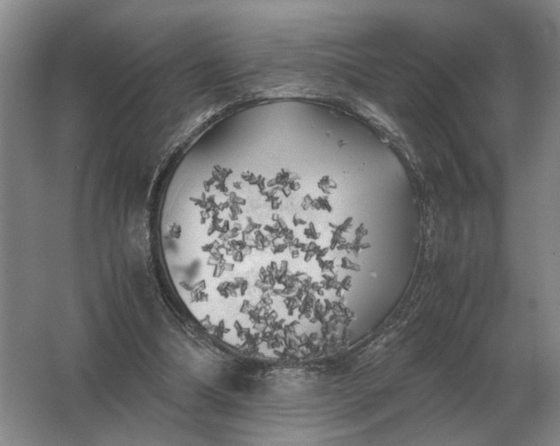 X0000062920298200601271812