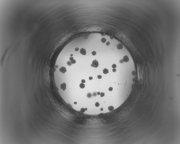 X0000062920300200601271812