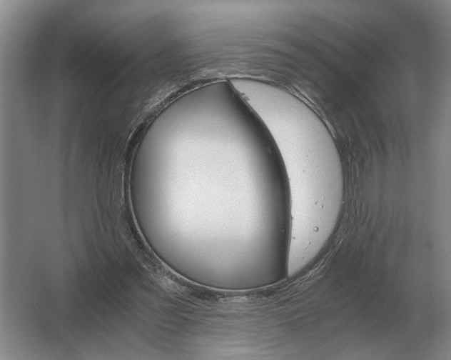 X0000062920301200601271812