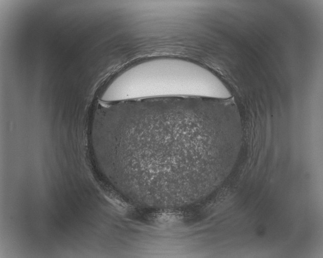 X0000062920303200601271812