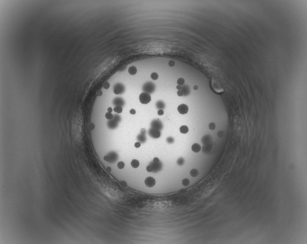 X0000062920304200601271812