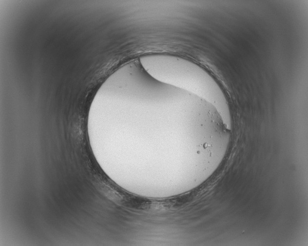 X0000062920305200601271812