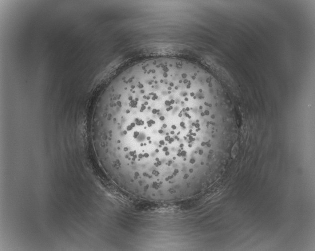 X0000062920306200601271812