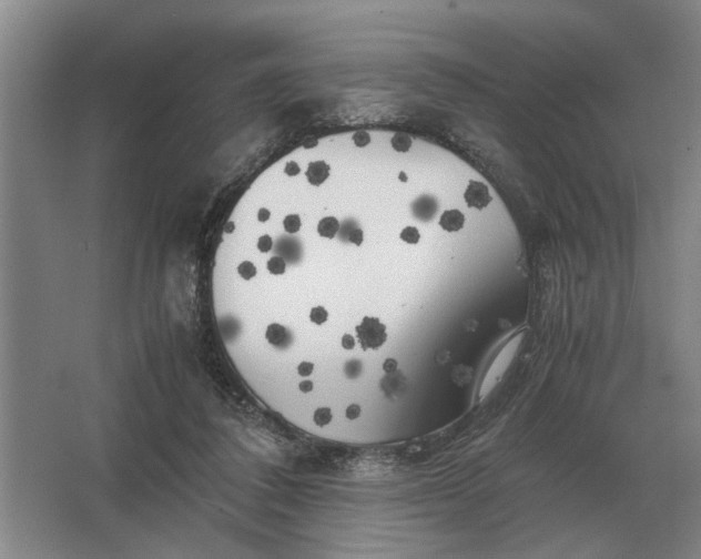 X0000062920308200601271812