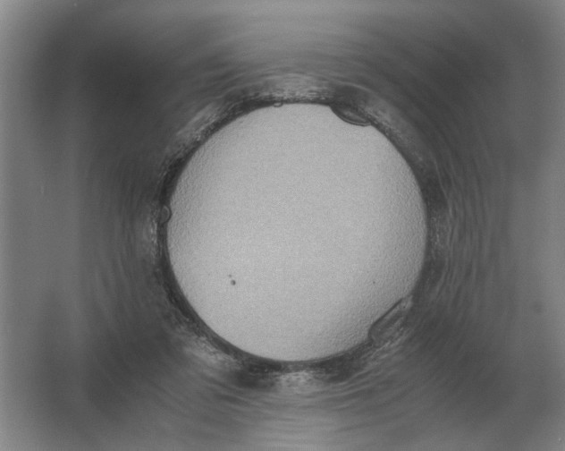 X0000062920309200601271812