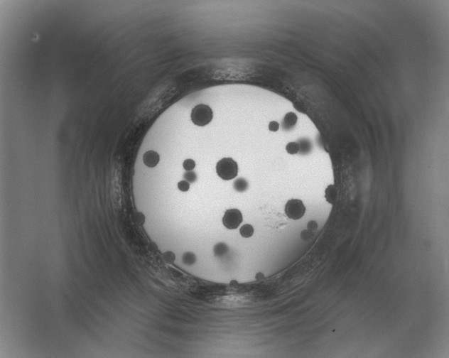 X0000062920312200601271812