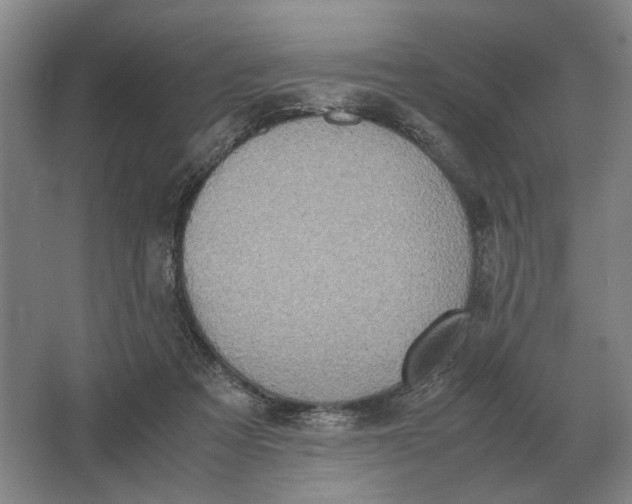 X0000062920313200601271812