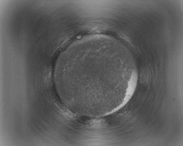 X0000062920314200601271812