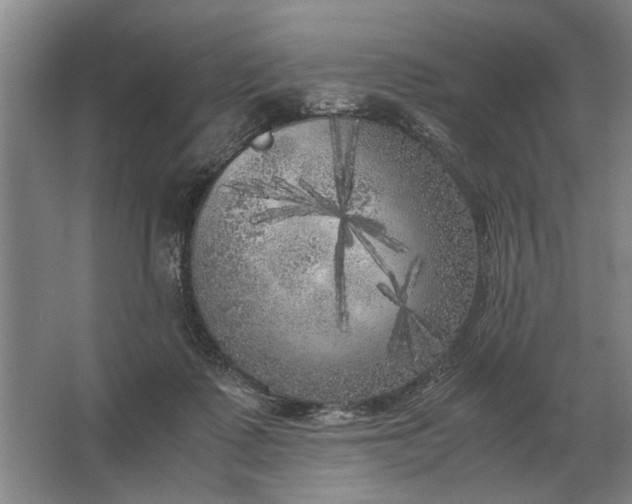 X0000062920315200601271812