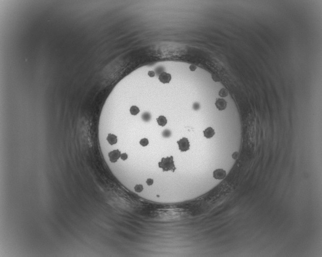 X0000062920316200601271812