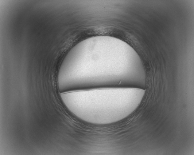 X0000062920317200601271812