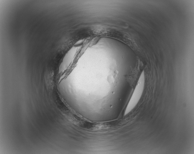 X0000062920319200601271812