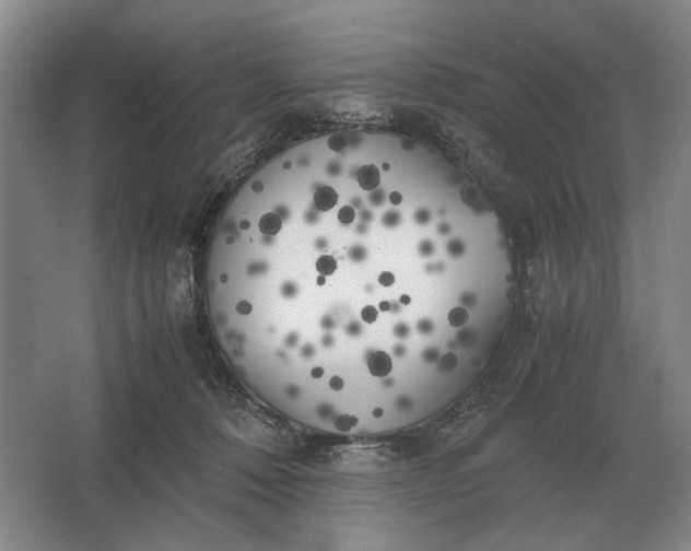 X0000062920320200601271812