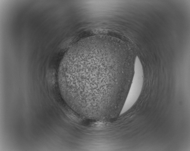 X0000062920323200601271812