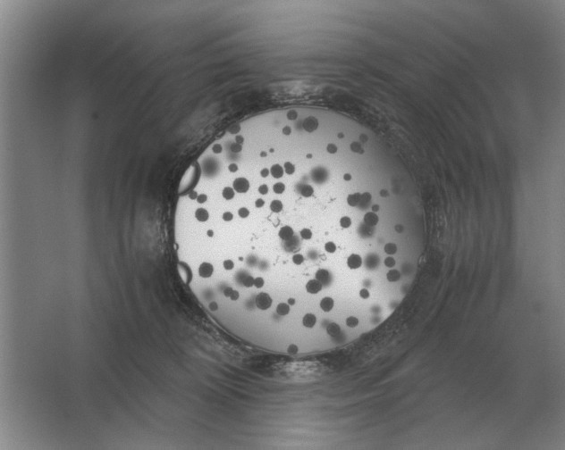 X0000062920324200601271812