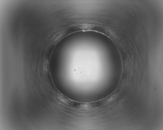 X0000062920325200601271812