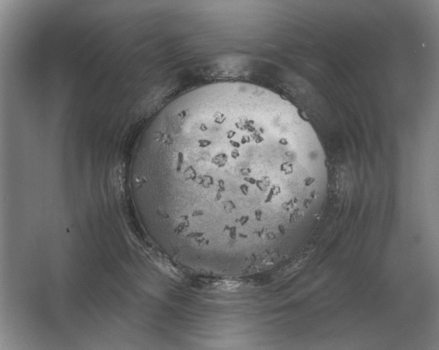 X0000062920326200601271812