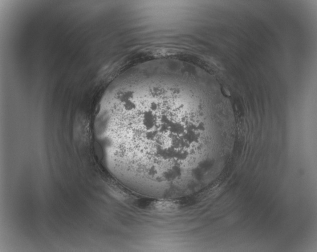 X0000062920327200601271812