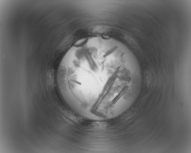 X0000062920328200601271812