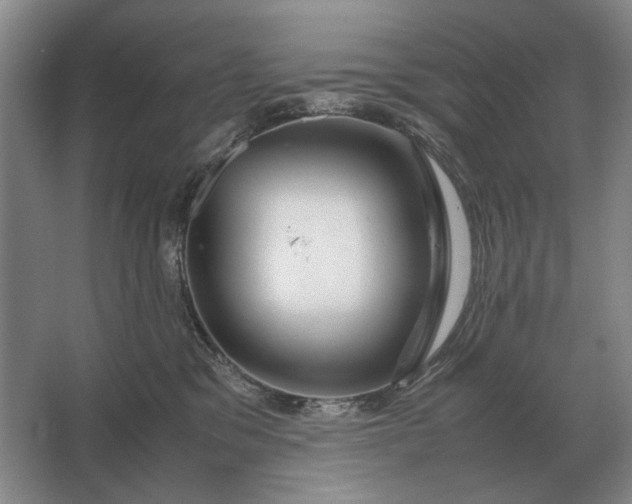 X0000062920329200601271812