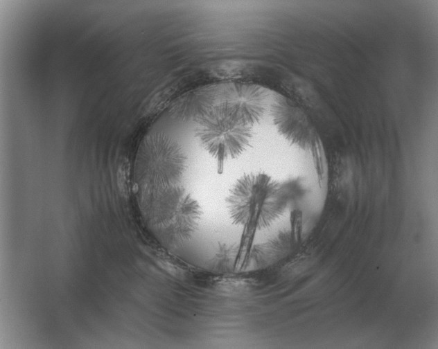 X0000062920332200601271812