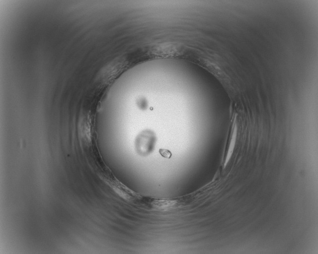 X0000062920334200601271812