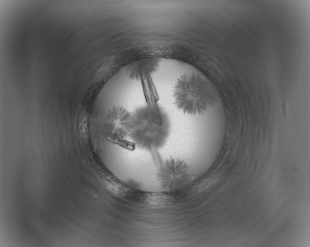 X0000062920336200601271812