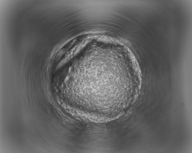 X0000062920337200601271811