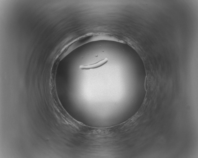 X0000062920338200601271811