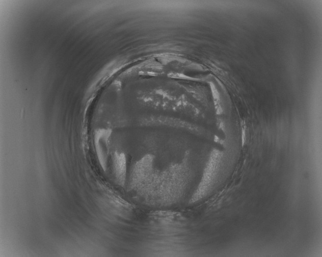 X0000062920339200601271811