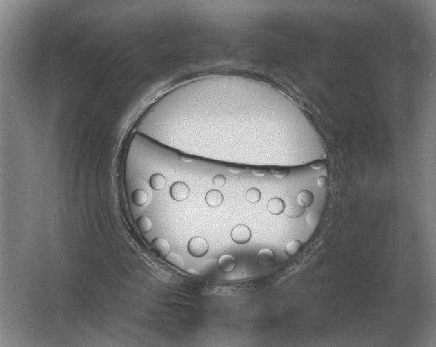 X0000062920341200601271811