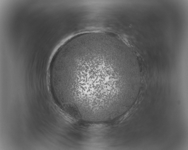 X0000062920342200601271811