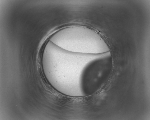 X0000062920343200601271811