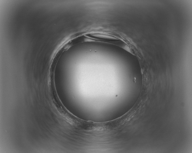 X0000062920344200601271811