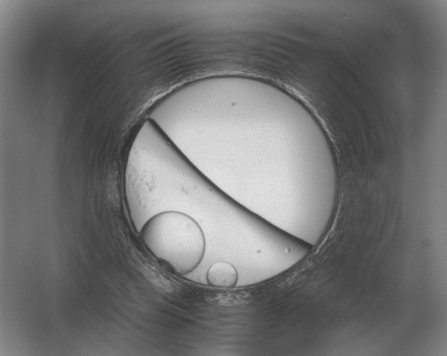 X0000062920345200601271811