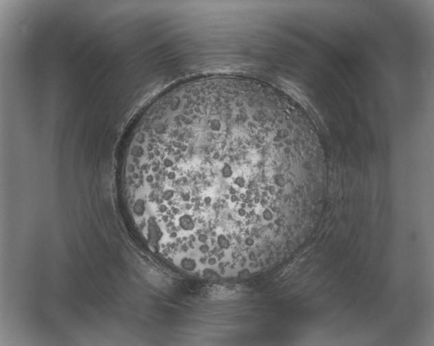 X0000062920346200601271811