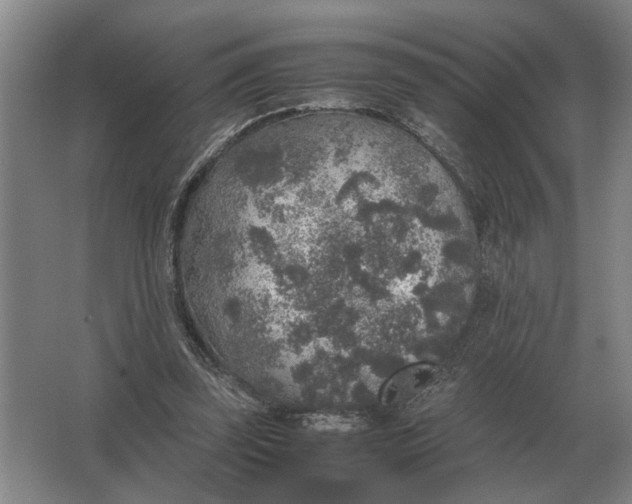 X0000062920347200601271811