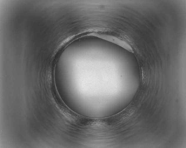 X0000062920348200601271811