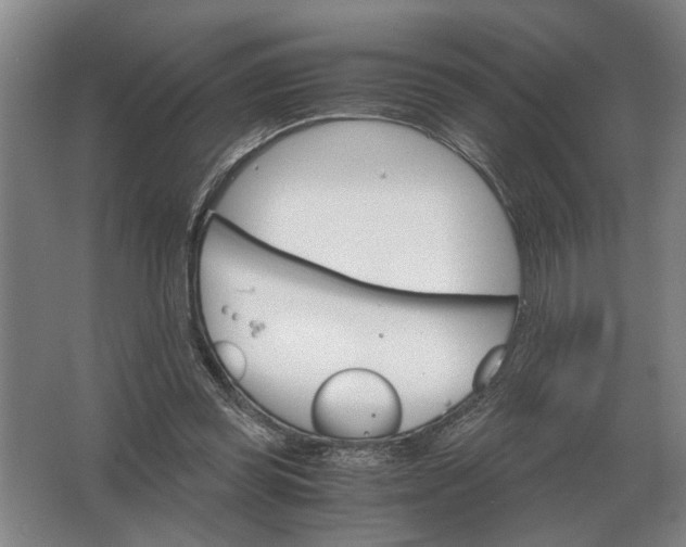 X0000062920349200601271811