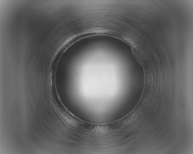 X0000062920350200601271811