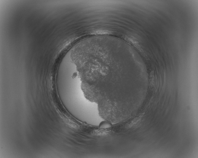 X0000062920351200601271811