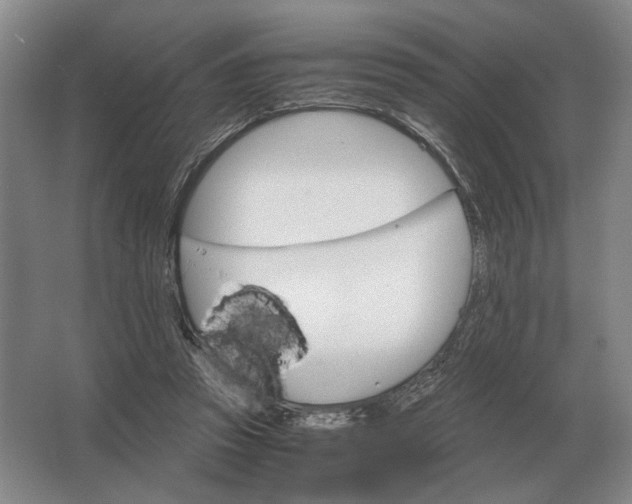 X0000062920353200601271811