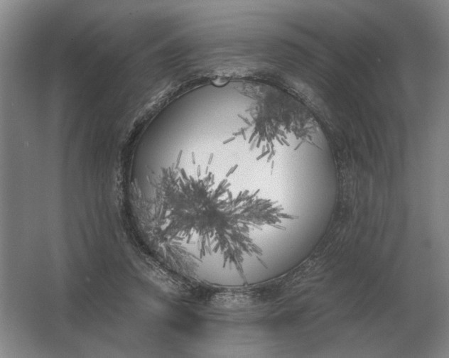 X0000062920354200601271811