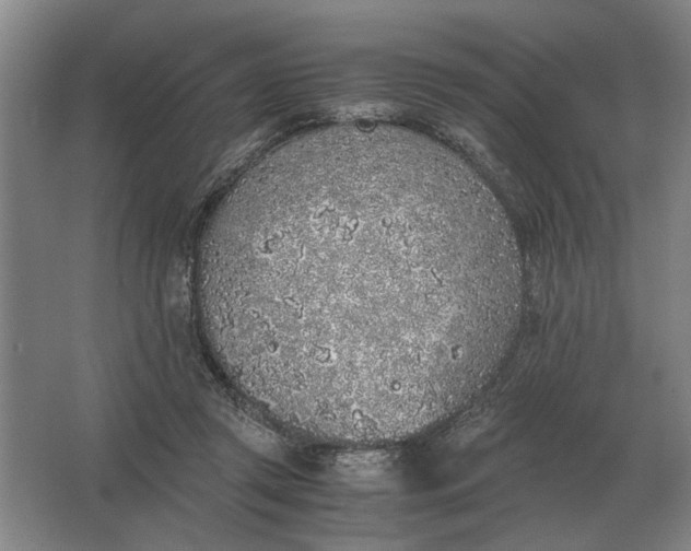 X0000062920357200601271811