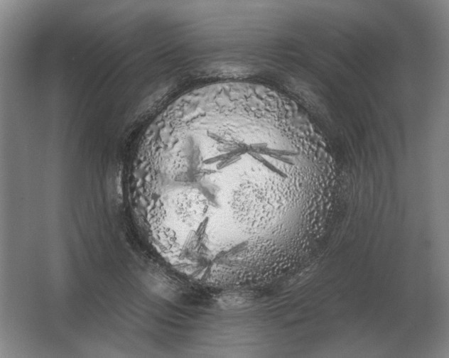 X0000062920358200601271811