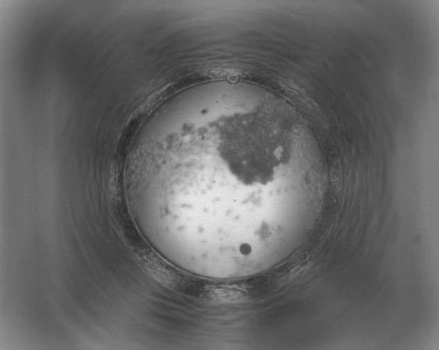 X0000062920359200601271811