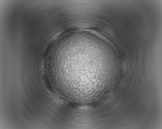 X0000062920360200601271811